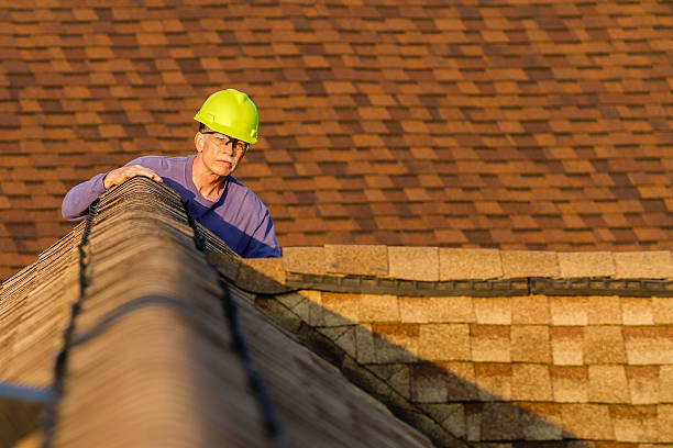 Best Roof Gutter Cleaning  in Honeoye Falls, NY